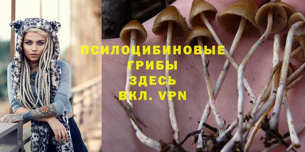 эйфоретик Алексин