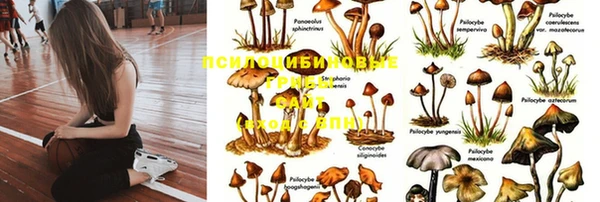 винт Алексеевка